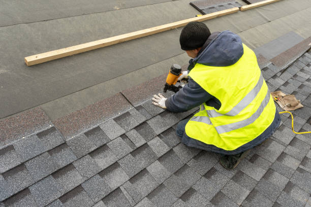 Best Roof Repair Services  in Montrose, MI