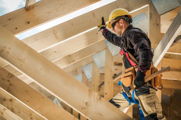 Best Roof Maintenance Services  in Montrose, MI
