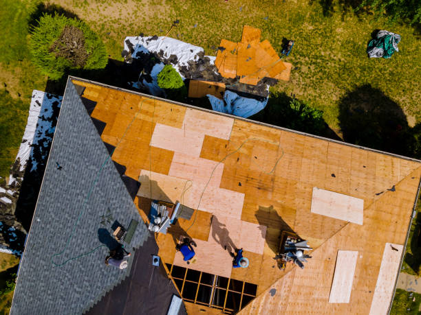 Best Best Roofing Contractors  in Montrose, MI