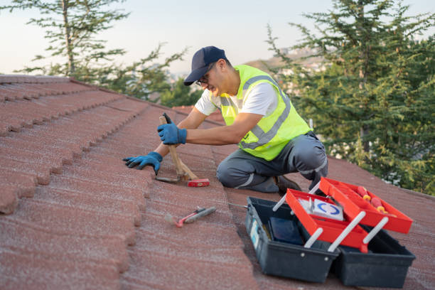 Best Residential Roofing Contractor  in Montrose, MI