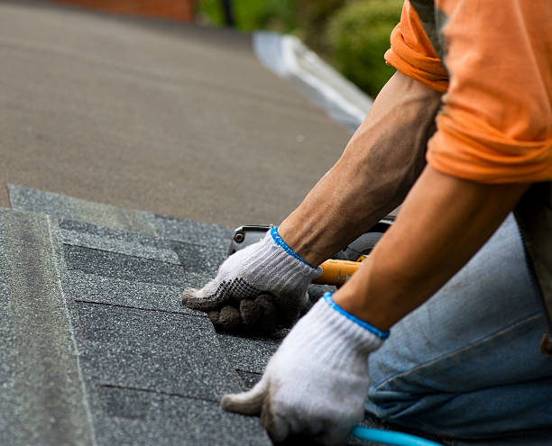 Best Tile Roofing Contractor  in Montrose, MI