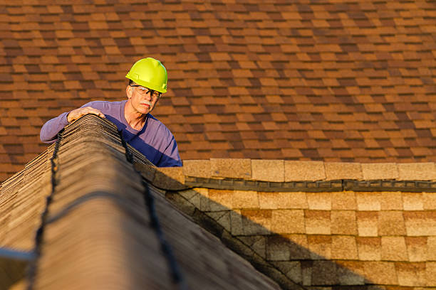 Trusted Montrose, MI Roofing Contractor Experts