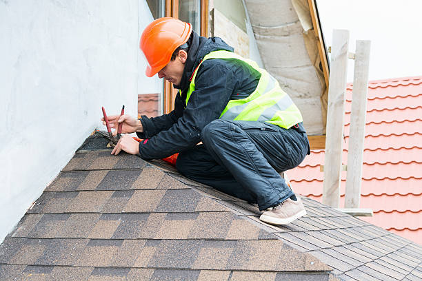 Best Roof Maintenance Services  in Montrose, MI