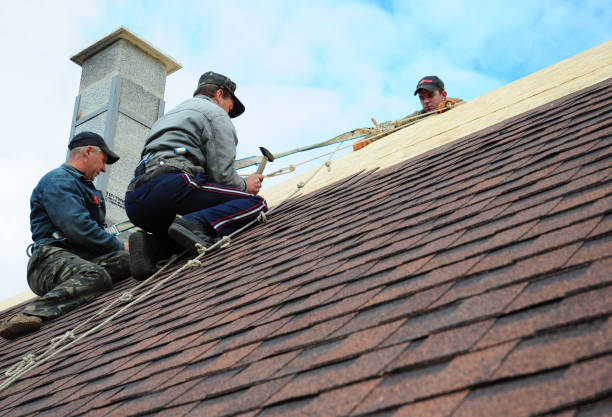 Best New Roof Installation  in Montrose, MI